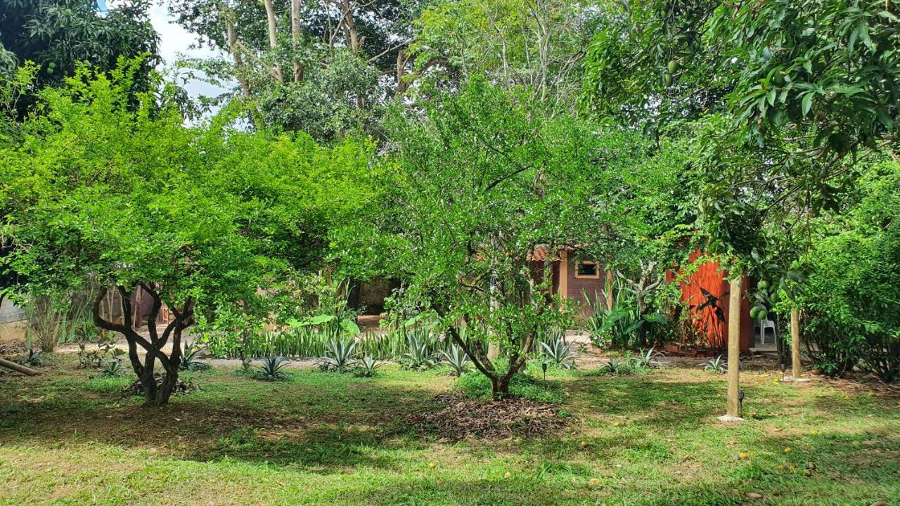 Free Soul House - Localizacao Ideal No Centrinho Alto Paraíso de Goiás Dış mekan fotoğraf