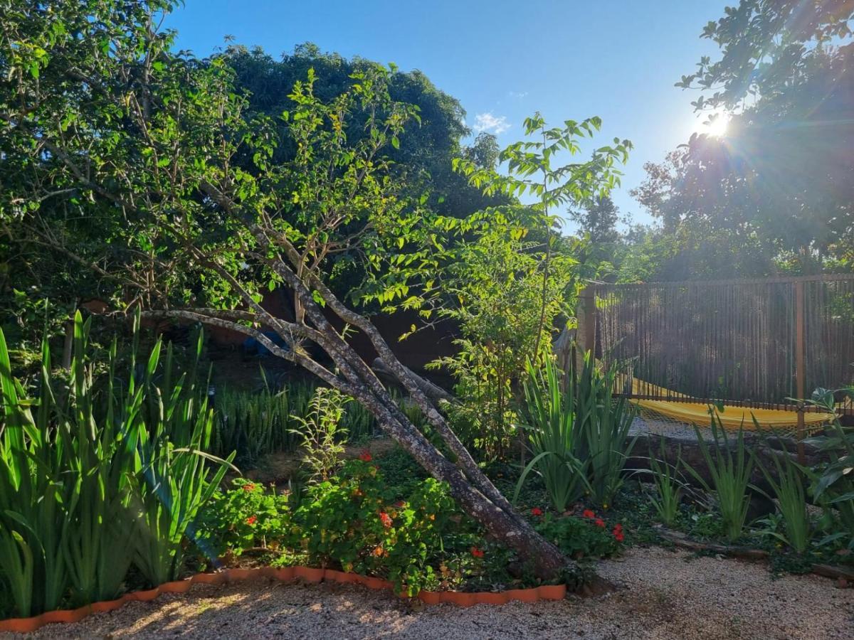 Free Soul House - Localizacao Ideal No Centrinho Alto Paraíso de Goiás Dış mekan fotoğraf